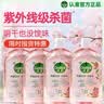 滴露（Dettol）衣物消毒液自然香氛洗衣除菌液 除螨除异味去汗臭48H留香1000ml*1 实拍图