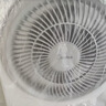 美的（Midea）【暴风循环】空气循环扇大风量摇头电风扇家用台式落地扇轻音卧室节能小风扇柔风轻羽扇 FGA24TQ 实拍图