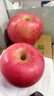 柏馋陕西红富士苹果脆甜多汁新鲜水果当季应季冰糖心时令生鲜整箱 3斤尝鲜装净重2.5斤 80mm+ 实拍图
