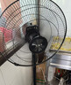华生（Wahson）电风扇家用落地扇交流定频电扇立式工业扇18吋牛角扇低噪大风量宿舍办公车间商用强力风扇FS-D1806 实拍图