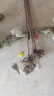 CHUANGSHIJI香椿树苖绿油香椿苗盆栽地栽南方北方种植食用香椿树苗红油香椿苗 6年苗【当年采摘多多备注品种】 80cm(含)-89cm(含) 实拍图