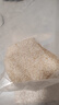 十月稻田 当季新米 生态胚芽米 90%留胚 5斤(营养辅食 粥米 东北大米) 实拍图