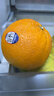 新奇士（Sunkist）美国蓝标早脐橙 大果 8斤礼盒装单果220g起 生鲜水果礼盒 实拍图