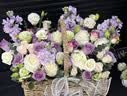 冉子花坊鲜花速递粉玫瑰抱抱桶向日葵花篮生日礼物同城配送 紫玫瑰混搭花篮 实拍图