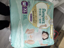 帮宝适散热王者一级帮拉拉裤新生儿婴儿尿不湿尿片超薄透气XL28 实拍图