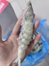 鲜京采 厄瓜多尔白虾 净重3斤/盒 特大号20-30规格   30-45只/盒 实拍图