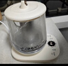 小熊（Bear）养生壶煮茶壶煮茶器 多功能保温一体烧水壶恒温水壶 316L母婴级煮水壶 1.5L YSH-E15M1 实拍图