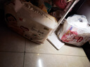 好奇（Huggies）铂金装小桃裤成长裤XXL74片(15kg以上)尿不湿【透爽散热】 实拍图