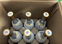 汾酒 黄盖玻汾 清香型白酒 53度 475mL*6瓶整箱 年份随机 实拍图