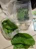 沃绣 蚕宝宝当天发货 活蚕宝宝蚕卵小蚕彩色蚕新鲜桑叶学生养蚕套装 2龄蚕30条+透气盒+桑叶 实拍图
