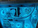 华硕天选RTX5070/5060Ti/5060显卡14600KF/270K Plus组装电脑台式主机3D游戏电竞DIY整机天选姬海景房 250K Plus+华硕天选5060 配置十 实拍图