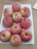 京鲜生 烟台红富士苹果 净重10斤 单果220g以上 礼盒装 生鲜水果 实拍图