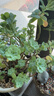 松下（Panasonic）5号五号AA碱性干电池2节1.5V适用于遥控器玩具键盘鼠标等LR6【一件包邮】 实拍图