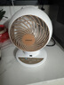爱丽思（IRIS） 爱丽思空气循环扇风扇遥控电风扇落地扇家用小熊猫电扇自动摇头冷风扇空调扇 QTC17【遥控，款左右自动 上下手动】 实拍图