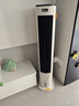 美的（Midea）【直流变频】家用空调扇 智能语音冷风扇 负离子净化落地冷风机水冷塔扇 强力制冷双向送风ADJ10SC 实拍图