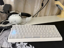 迈从（MCHOSE）Ace 68 V2磁轴键盘Gus同款RT电竞游戏低延迟60pro机械有线连接68键配列FPS双驱动无畏契约 Ace 68 V2 超竞版雾透白 宝马磁轴+RT键 实拍图
