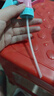 喷壶小型喷壶器浇花洒水壶糖果色喷壶喷水工具 糖果粉色（1个装） 实拍图