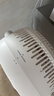 美的（Midea）【净化驱蚊】空气循环扇 直流变频电风扇 大风力落地扇 家用桌面3D摇头 卧室轻音一级能效GDJ24DXS 实拍图