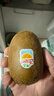 佳沛（zespri）新西兰 新果季 阳光金奇异果10粒巨大果单果146-175g 猕猴桃 实拍图