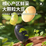 三只松鼠量贩罐装三色豆450g 黄豆黑豆青豆豌豆坚果炒货办公室干果零食 实拍图