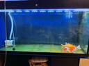 鱼缸灯led灯防水超亮全光谱三色小水族箱潜水专用彩灯灯管 24W三色变光114cm（120-130cm缸用） 实拍图