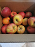 京鲜生 新疆阿克苏苹果 净重9斤装 果径90-95mm 生鲜水果 实拍图