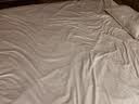 MIDO HOUSE铭都100支新疆长绒棉床上四件套四季贡缎被套纯棉套件 1.8m床笠款 实拍图