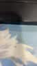 班尼路（Baleno）短袖t恤男夏季日常休闲百搭纯棉男士上衣吸汗透气宽松潮流体恤衫 实拍图