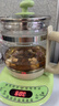 小熊（Bear）养生壶烧水壶恒温煮茶壶多档保温烧水炖煮壶一体多功能电热水壶花茶壶办公室玻璃烧水养生壶0胶水 YSH-B18T1【配实用滤网+蛋架】 1.5L 绿色 实拍图