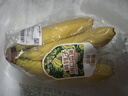 黄胖子进口香蕉650g 实拍图