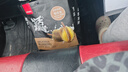 乐百氏饮用水天然水泉水整件装桶装水泡茶煮饭冲饮送货上门整箱车载水 【煮饭泡茶】天然饮用水5L*4 实拍图