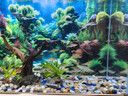 鱼缸灯led灯防水超亮全光谱三色小水族箱潜水专用彩灯灯管 24W三色变光114cm（120-130cm缸用） 实拍图
