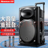 纽曼B12广场舞音响12英寸户外大音量蓝牙拉杆音箱大功率便携式移动演出k歌低音炮地摊摆摊喇叭双麦版 实拍图
