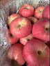 柏馋陕西红富士苹果脆甜多汁新鲜水果当季应季冰糖心时令生鲜整箱 3斤尝鲜装净重2.5斤 80mm+ 实拍图