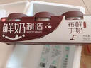 燕塘 低温巧克力味鲜奶布丁 100g*3杯 3.4g乳蛋白 休闲零食 热门商品 实拍图