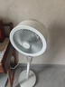 艾美特（AIRMATE）【天鹅MAX】空气循环扇直流变频家用大风力电风扇卧室轻音一级能效负离子净化语音落地扇 SRDI151 实拍图