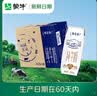 蒙牛【新鲜日期】特仑苏纯牛奶250ml*16盒 家庭早餐 送礼盒装 实拍图