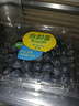 【24小时菜】菠菜苗250g(长度≤20cm) 实拍图