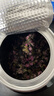 陈一凡 桃花茶 新鲜桃花干手工挑选无熏桃花瓣泡水喝的花草养生茶40g 实拍图