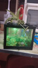 桌面鱼缸小型家用积木缸生态缸水族箱斗鱼缸带小夜灯氛围灯摆件 黑色鱼缸一个灯 实拍图