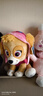 汪汪队立大功（PAW PATROL）毛绒玩具狗狗陪睡玩偶经典款天天中号坐姿可爱公仔男女孩生日礼物 实拍图