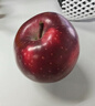京鲜生 甘肃天水花牛苹果 又大又红 6粒尝鲜装 单果160-190g 生鲜水果 实拍图