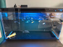 米家智能生态鱼缸还原自然生态智能鱼缸+米家物理滤芯 实拍图