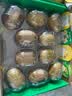 佳沛（zespri）新西兰 新果季 阳光金奇异果12粒特大果单果124-146g 猕猴桃 实拍图