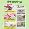 MAILE KID儿童3D立体拼图玩具3-6岁幼儿园昆虫男女孩手工diy六一生日礼物 实拍图