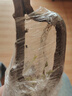 CHUANGSHIJI树莓苗双季树莓覆盆子树苗黄红树莓苗南方北方种植盆栽地栽果树苗 2年苗【品种留言】 60cm(含)-69cm(含) 实拍图