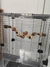 宠大条鹦鹉玩具磨牙棒站杆玄凤小太阳虎皮鹦鹉啃咬磨嘴站杆鹦鹉站架配件 【50cm】鹦鹉干果玩具攀爬站架 实拍图