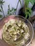 优卓胖东来同款茉莉花干花2026特一级新茶横县特级浓香型花茶理气安神 【特优级茉莉花】花香浓郁 100g*3罐 舒缓情绪辅助提神醒脑 实拍图