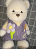 莉娜熊（TeddyTales）小熊玩偶毛绒玩具熊泰迪手作熊安抚娃娃送礼送人毕业礼物送女生 奶白色（明星款） 中号站姿约30cm 实拍图