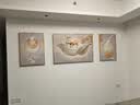 诗六艺家饰客厅装饰画北欧现代简约沙发背景墙挂画三联画大气轻奢壁画晶瓷画 羽鹿生辉（铝合金外框） 镶钻画左右50*70+中间100*70亮面 实拍图